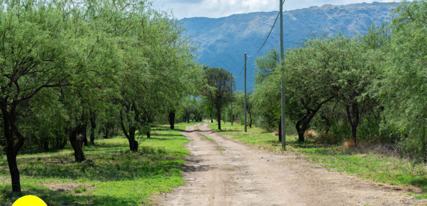 LOTEO “LA AZUCENA” CERRO DE ORO – MERLO