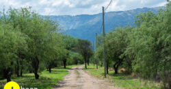 LOTEO “LA AZUCENA” CERRO DE ORO – MERLO