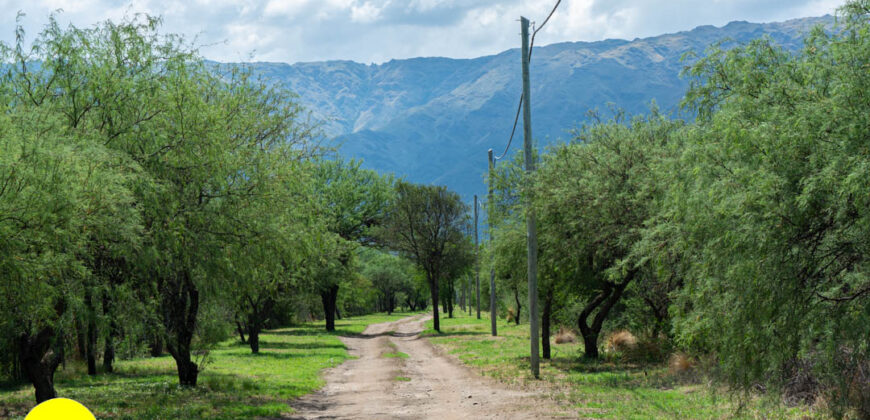 LOTEO “LA AZUCENA” CERRO DE ORO – MERLO