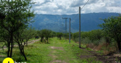 LOTEO “LA AZUCENA” CERRO DE ORO – MERLO