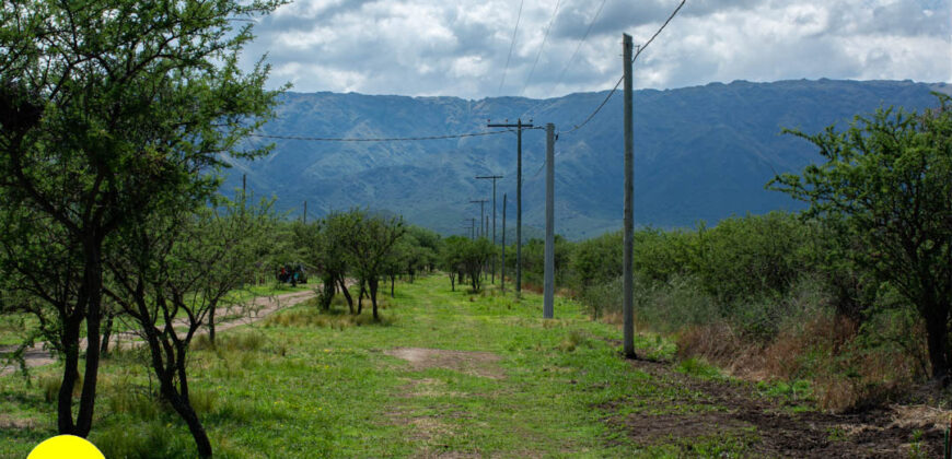 LOTEO “LA AZUCENA” CERRO DE ORO – MERLO