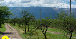 LOTEO “LA AZUCENA” CERRO DE ORO – MERLO