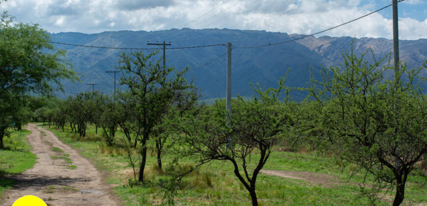 LOTEO “LA AZUCENA” CERRO DE ORO – MERLO