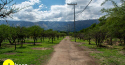 LOTEO “LA AZUCENA” CERRO DE ORO – MERLO