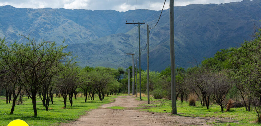 LOTEO “LA AZUCENA” CERRO DE ORO – MERLO