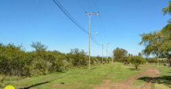 LOTEO “LA AZUCENA” CERRO DE ORO – MERLO