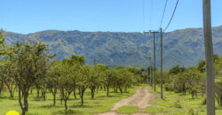 LOTEO “LA AZUCENA” CERRO DE ORO – MERLO