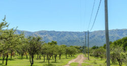 LOTEO “LA AZUCENA” CERRO DE ORO – MERLO