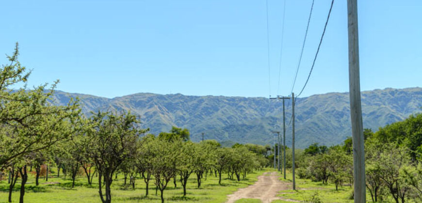 LOTEO “LA AZUCENA” CERRO DE ORO – MERLO