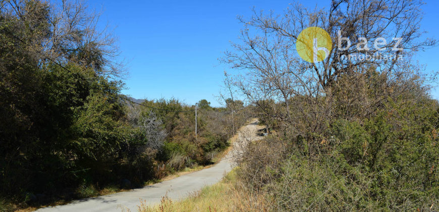 LOTE DE 1962M2 EN CARPINTERÍA