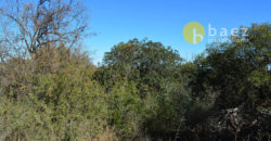 LOTE DE 1962M2 EN CARPINTERÍA