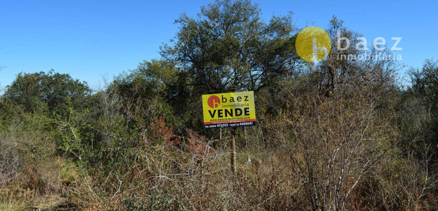 LOTE DE 1962M2 EN CARPINTERÍA