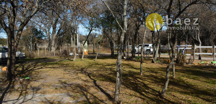 CASA EN BALCARCE, CORTADERAS