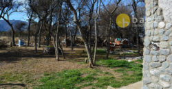 CASA EN BALCARCE, CORTADERAS