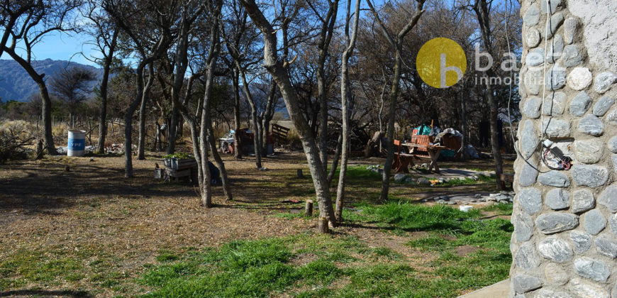 CASA EN BALCARCE, CORTADERAS