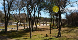 CASA EN BALCARCE, CORTADERAS