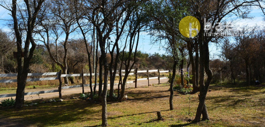 CASA EN BALCARCE, CORTADERAS