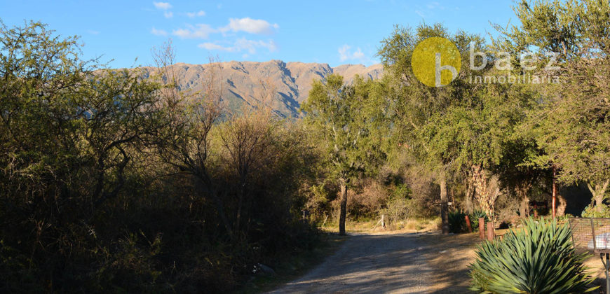 LOTE DE 1921M2 CARPINTERÍA