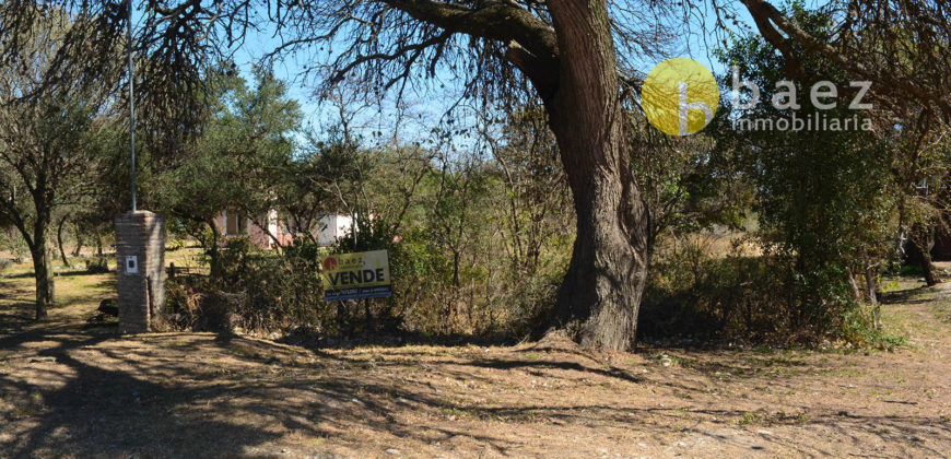LOTE DE 650M2 EN LOS MOLLES