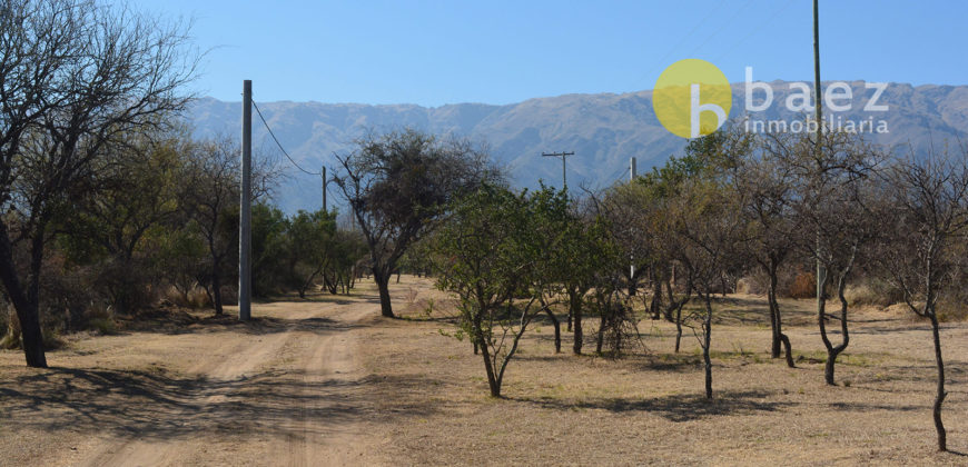 LOTEO “LA AZUCENA” CERRO DE ORO – MERLO