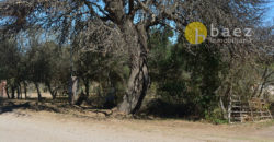 LOTE DE 650M2 EN LOS MOLLES