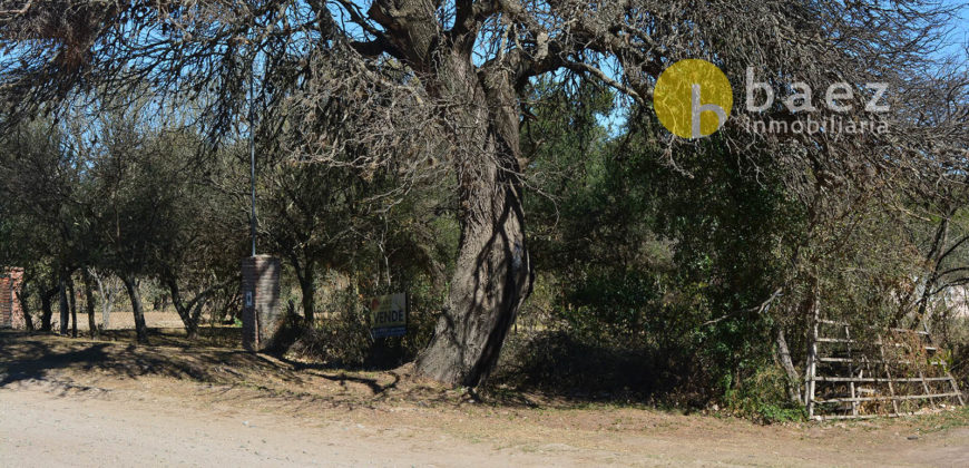 LOTE DE 650M2 EN LOS MOLLES