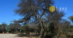 LOTE DE 650M2 EN LOS MOLLES