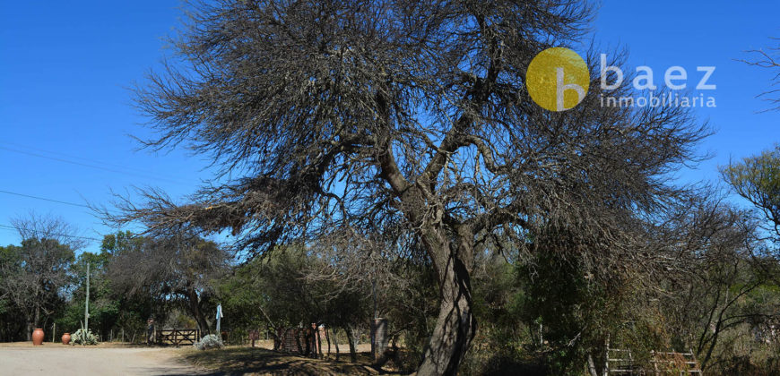 LOTE DE 650M2 EN LOS MOLLES