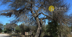 LOTE DE 650M2 EN LOS MOLLES