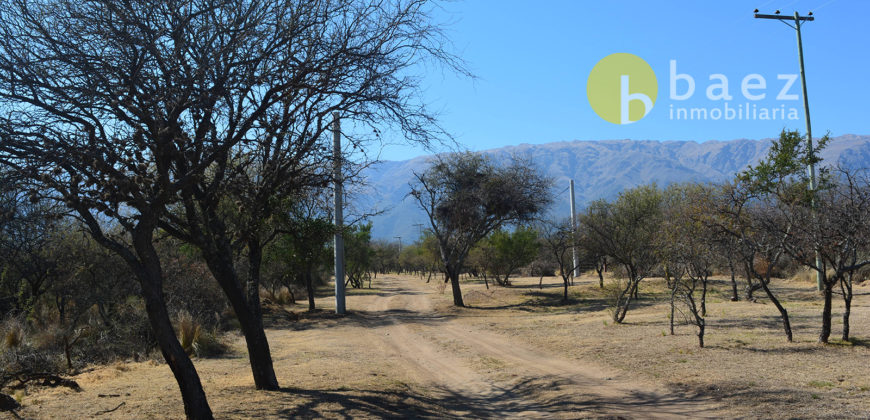 LOTEO “LA AZUCENA” CERRO DE ORO – MERLO