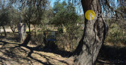 LOTE DE 650M2 EN LOS MOLLES