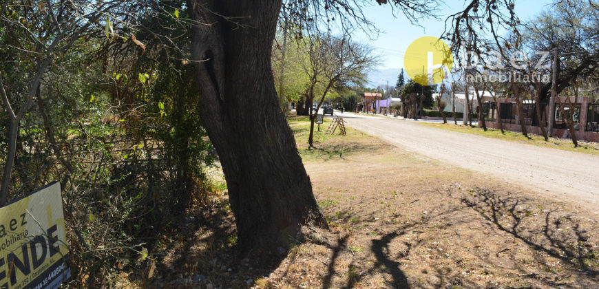 LOTE DE 650M2 EN LOS MOLLES