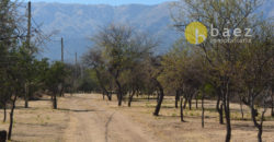 LOTEO “LA AZUCENA” CERRO DE ORO – MERLO