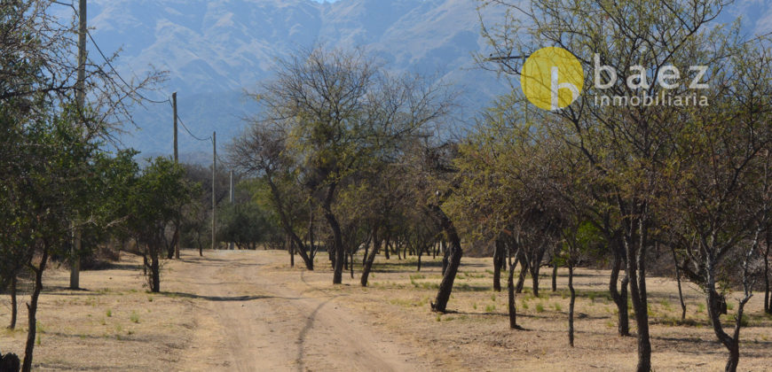 LOTEO “LA AZUCENA” CERRO DE ORO – MERLO