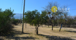 LOTEO “LA AZUCENA” CERRO DE ORO – MERLO