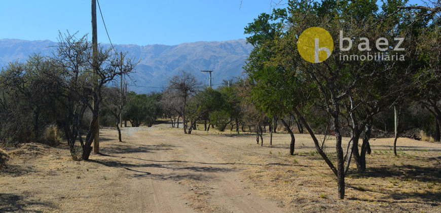 LOTEO “LA AZUCENA” CERRO DE ORO – MERLO