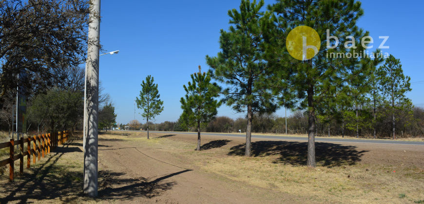 LOTEO “LA AZUCENA” CERRO DE ORO – MERLO