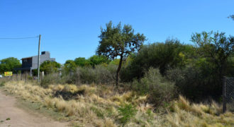 LOTE DE 862 M2 EN CARPINTERÍA