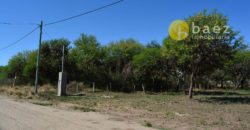 LOTE DE 862 M2 EN CARPINTERÍA