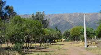 LOTES DE 1000M2 EN CARPINTERÍA