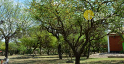 COMPLEJO DE CABAÑA EN ALTOS DE CARPINTERÍA