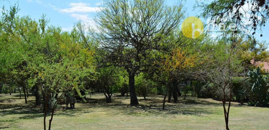 COMPLEJO DE CABAÑA EN ALTOS DE CARPINTERÍA