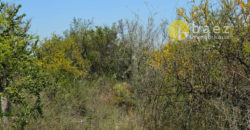 LOTES DE 2500M2 Y 2900M2 EN CARPINTERÍA