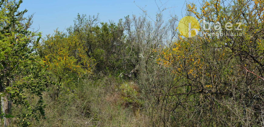 LOTES DE 2500M2 Y 2900M2 EN CARPINTERÍA