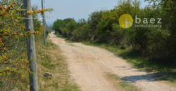 LOTES DE 2500M2 Y 2900M2 EN CARPINTERÍA