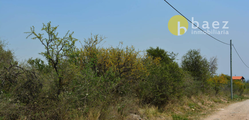 LOTES DE 2500M2 Y 2900M2 EN CARPINTERÍA