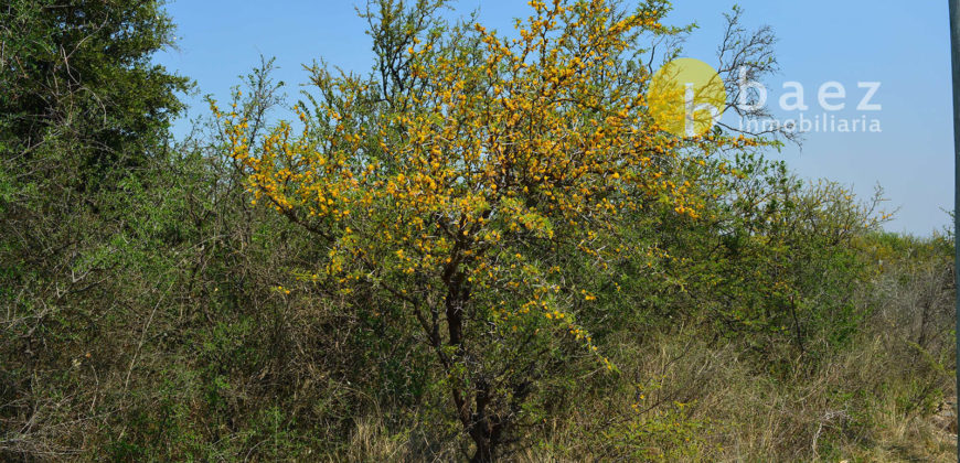 LOTES DE 2500M2 Y 2900M2 EN CARPINTERÍA