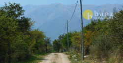LOTES DE 2500M2 Y 2900M2 EN CARPINTERÍA