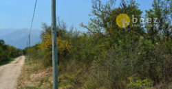 LOTES DE 2500M2 Y 2900M2 EN CARPINTERÍA