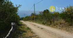 LOTES DE 2500M2 Y 2900M2 EN CARPINTERÍA